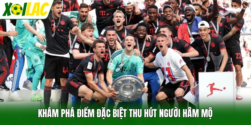 Khám phá điểm đặc biệt thu hút người hâm mộ