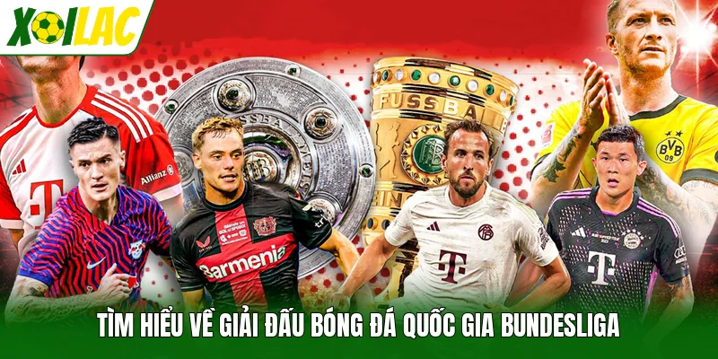 Tìm hiểu về giải đấu bóng đá quốc gia Bundesliga
