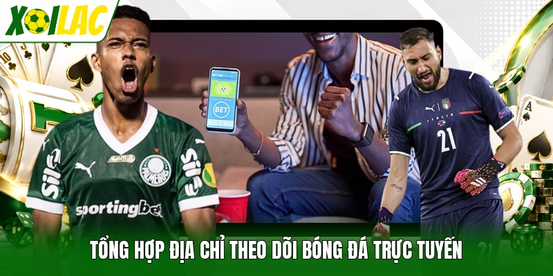 Tổng hợp địa chỉ theo dõi bóng đá trực tuyến
