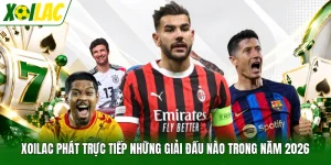Xoilac Phát Trực Tiếp Những Giải Đấu Nào Trong Năm 2026